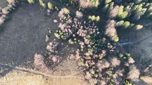  - фото нерухомості